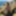 Flroian Johannes Mueller nude at the beach #36
