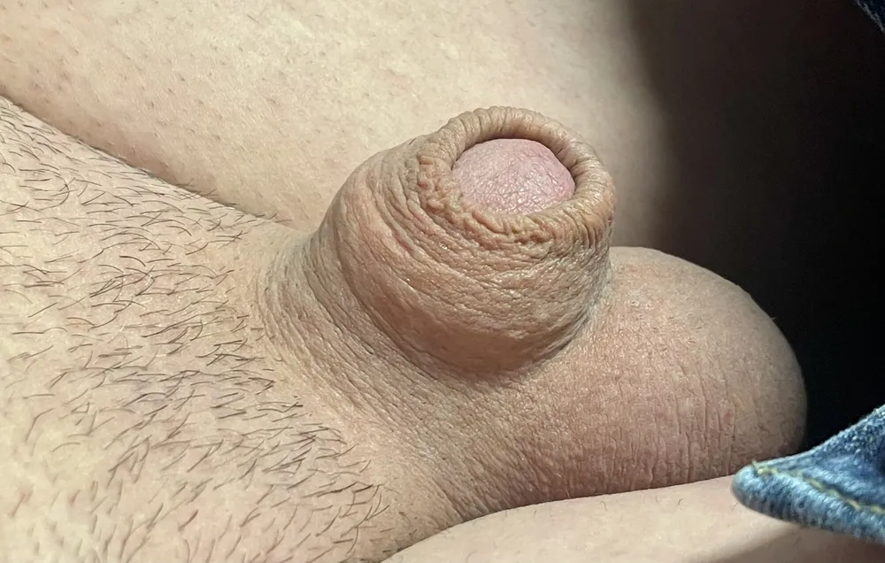 Cute, tiny micro cock #5