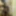 Chocolate Nubian77 Free Photos #4