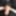Cock Pics 1