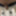 German cock waits for you