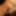 My Penis