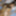 Fantastic asian amateur is giving head