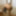 Sodomie (suite) #14
