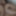 Worthless Desperate BBW Slut Jessica Jones  #5
