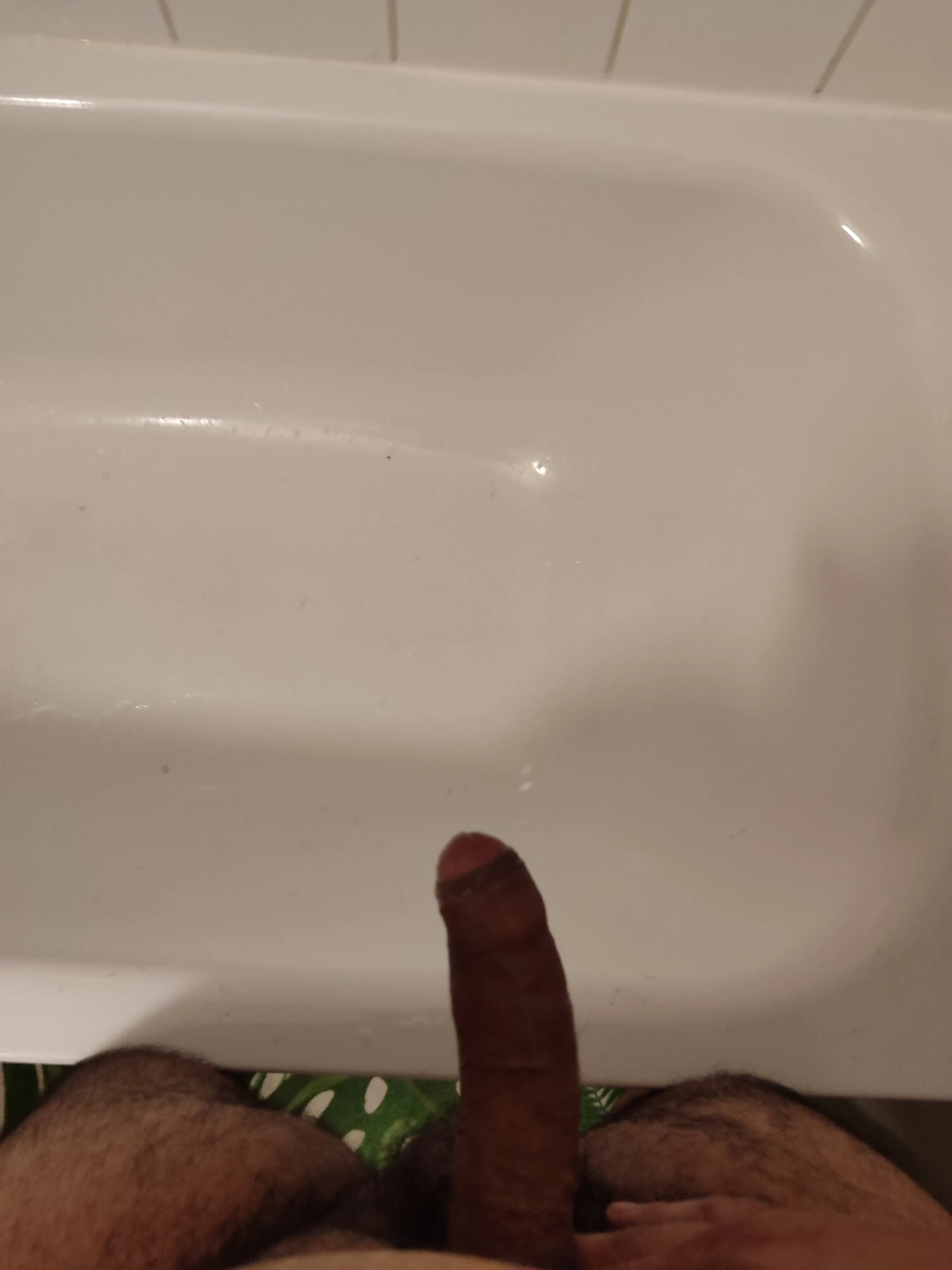 my cock