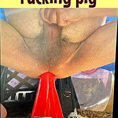 Piggy
