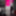 La Whore Maria Fluorescent pink hot #8