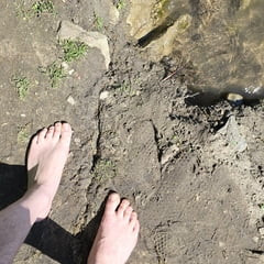More Feet core!