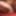 Hairy fatty w dildo #2