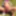 Desi Indian girl Fucked Outdoor badly by his boyfriend