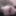 Thirty-centimeter dildo
