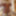 Amateur crossdresser Kellycd2022 sexy milf in white lace #26