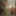 Annabel Miller: a suite in Venice #3