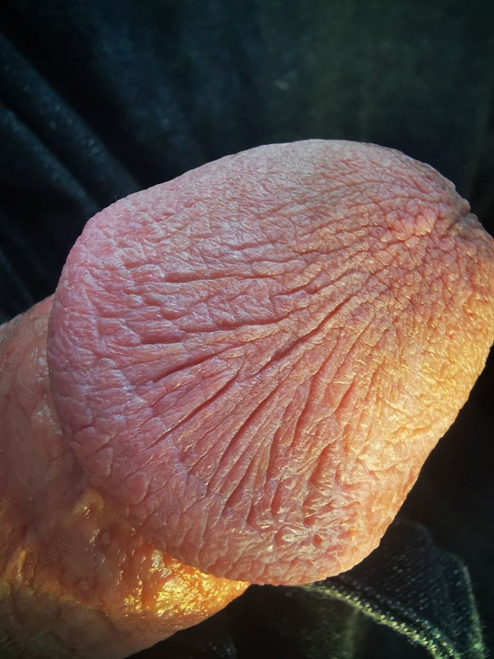 Super macro cock 