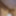 Small penis #7