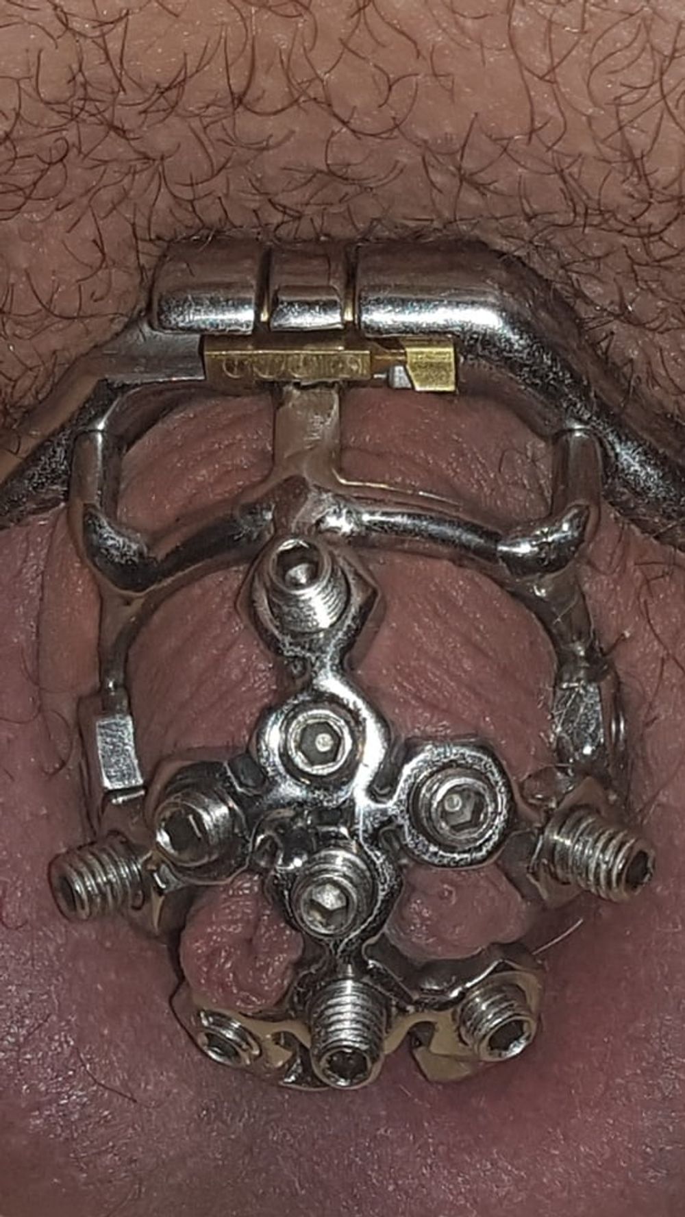 Chastity cage #33