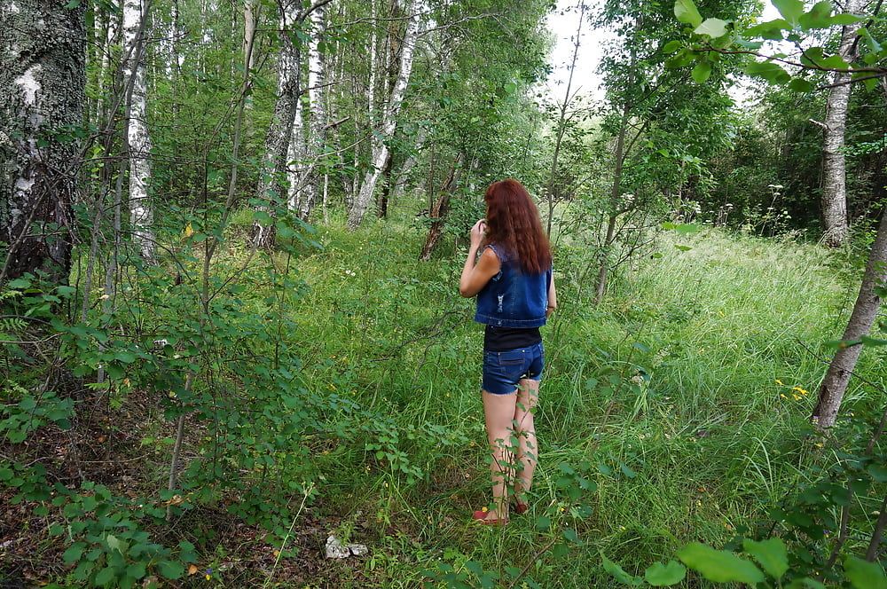 In birch Forest #10