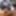 Misstaiwan Tayvanlı çıplak model sıkı vücut Auckland Yeni zübrid