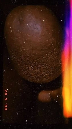 Je recherche un trans une femme