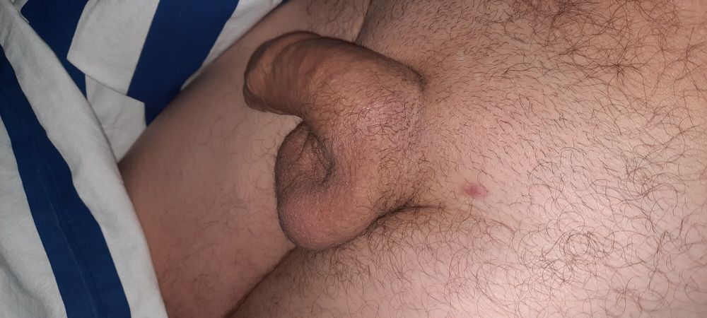 Softy Cock  #9