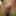 Small Cock Getting Hard