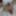 Lizzy Yum VR&amp;SD gallery MAY 2023 JUST ME #1 post op orgasm #6
