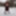 Pregnant flashing naked in the cold snow #36
