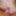 Update 641 03.12.21 #2