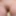 Büyüleyici tatlı olivia sparkle tıraşlı amcığını ve seksi götünü gösteriyor