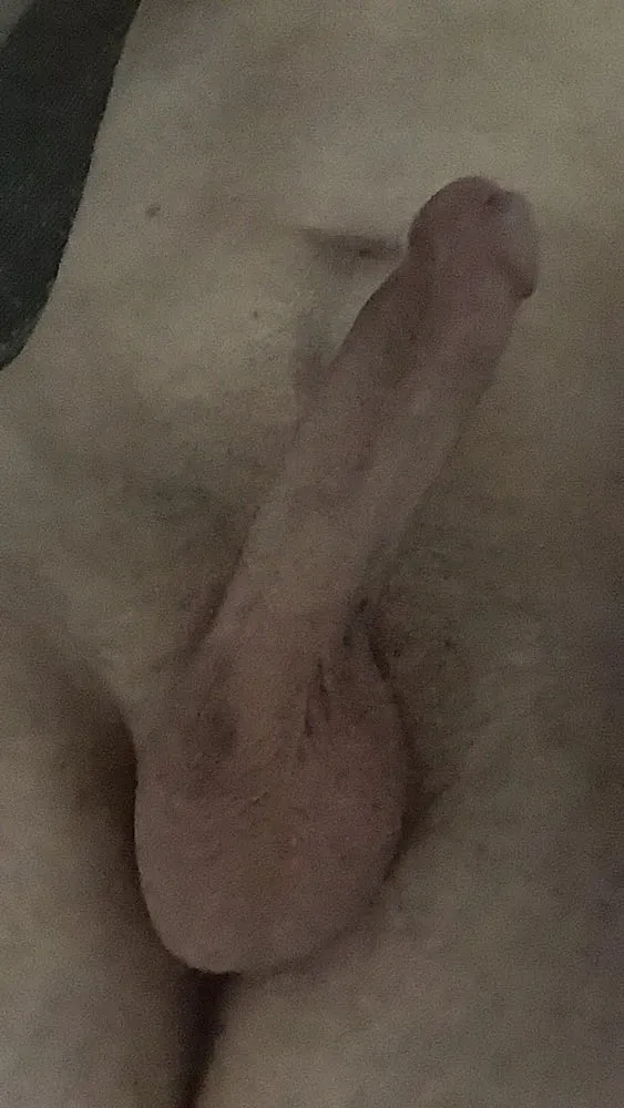 Hot pics of my dick