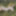 Resting on moss – nature in harmony #3