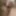 Me in pantyhose
