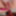 Intimate Doggy Close-Up Cum On Pussy - 576
