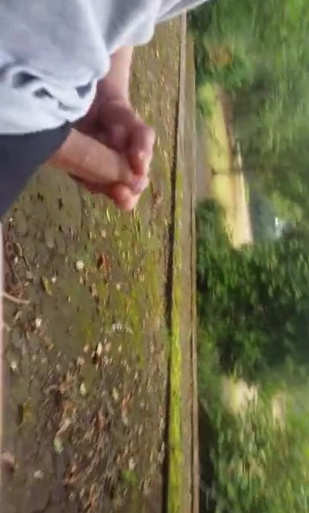 Draussen im Park mit schwanz gespielt #8