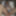 Grandma gets off in the window GIFs #3