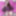 Joanie&#039;s Lingerie #42