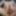 Big Condom Cumshot &amp; White Bikini #12
