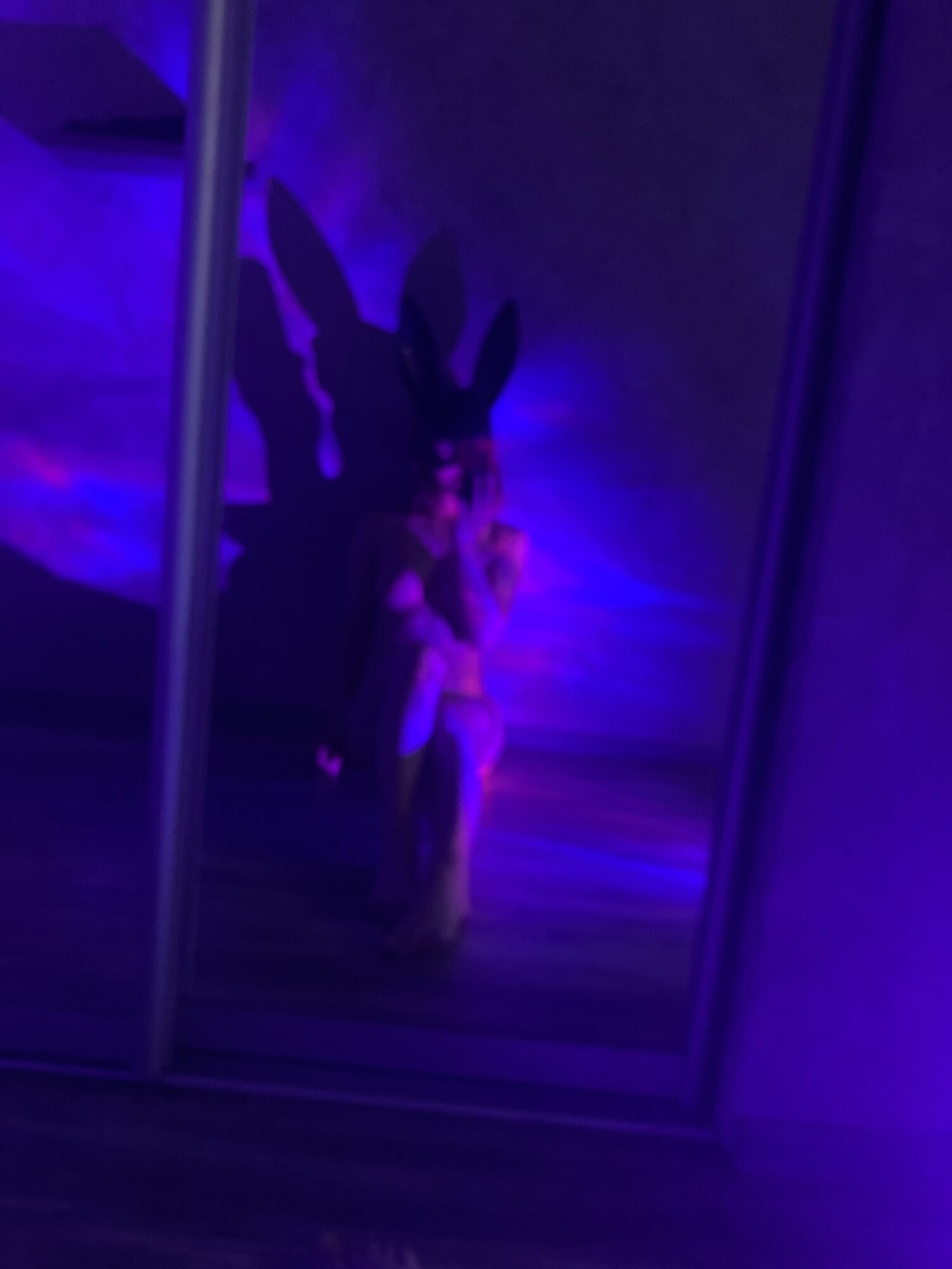 The bunny was abandoned by the hostess🐰