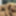 SEXUAL FANTASIES - SHARING DILDO AS A COUPLE BISEXUAL 2 #5
