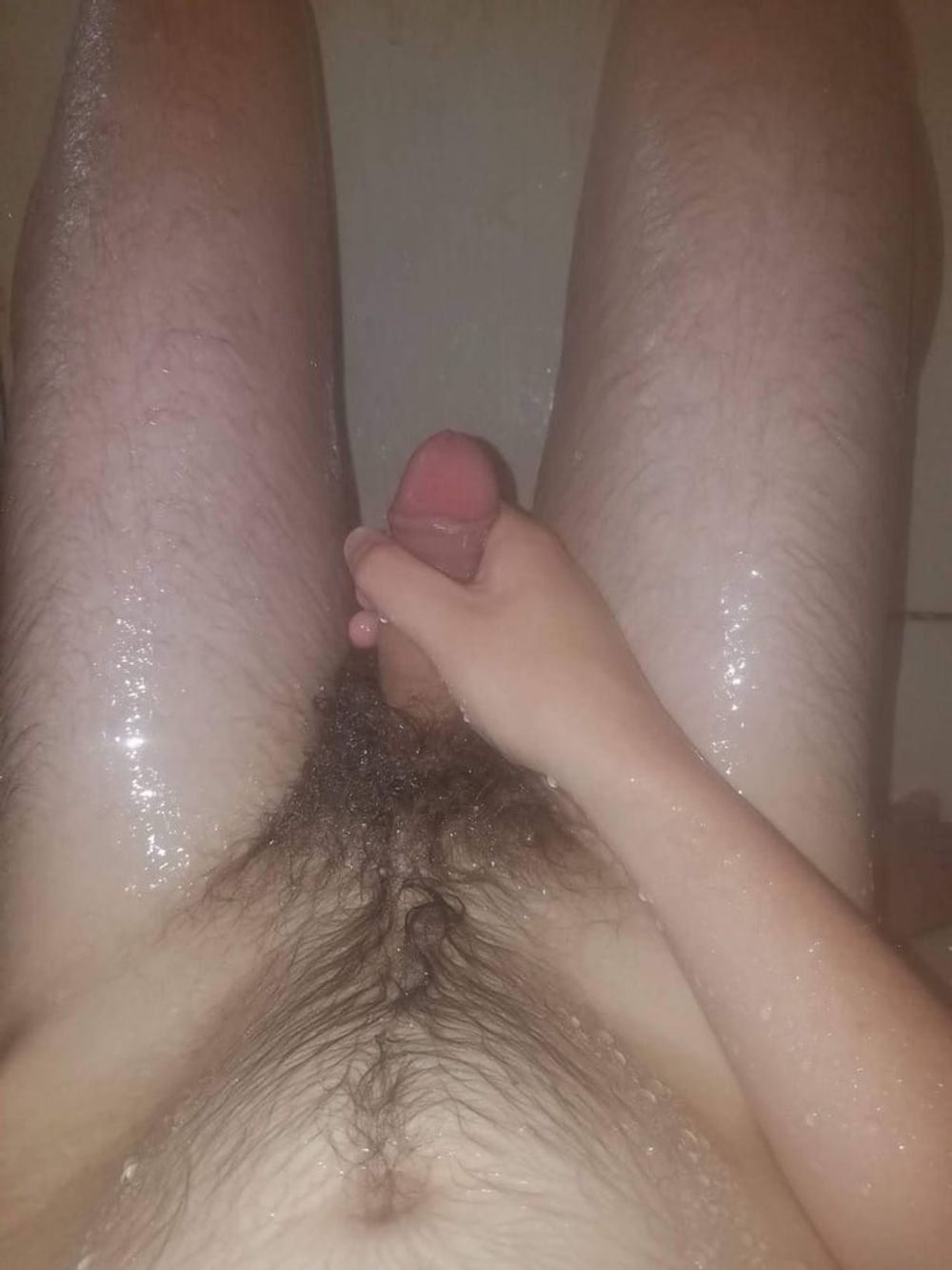 Cock #31