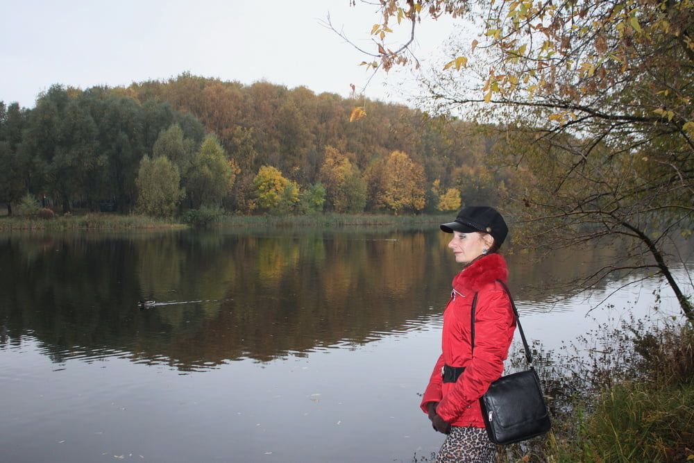 red jacket and yellow leaves #6