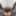 GROOBY-ARCHIVES: The Return of Libbey Harper! #5
