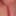 Pet play 2 #26
