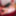 FEMOUT.XXX：精灵