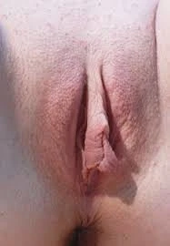 fleshy vagina #24