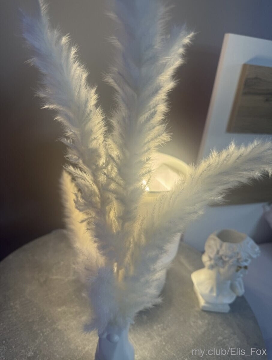 Alice Free Photos #42