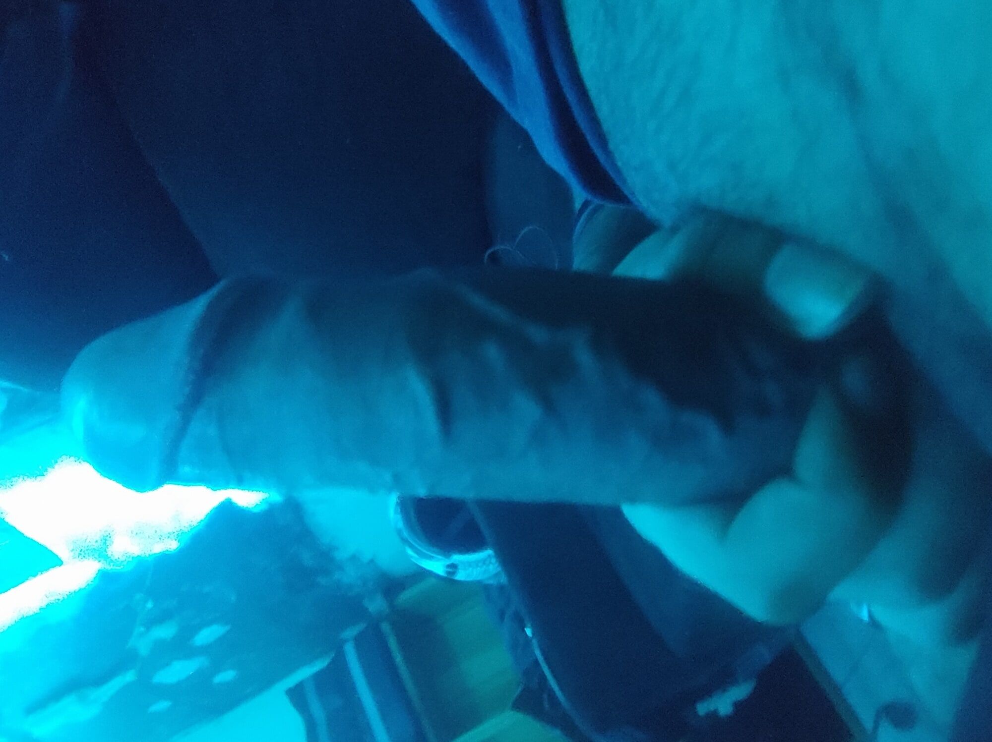 Hard Big cock