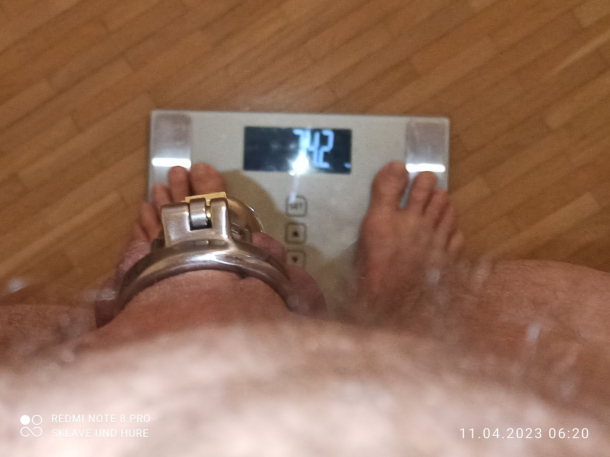 Patiently cagecheck and weighing  #13