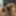SEXUAL FANTASIES - SHARING DILDO AS A COUPLE BISEXUAL 2 #4